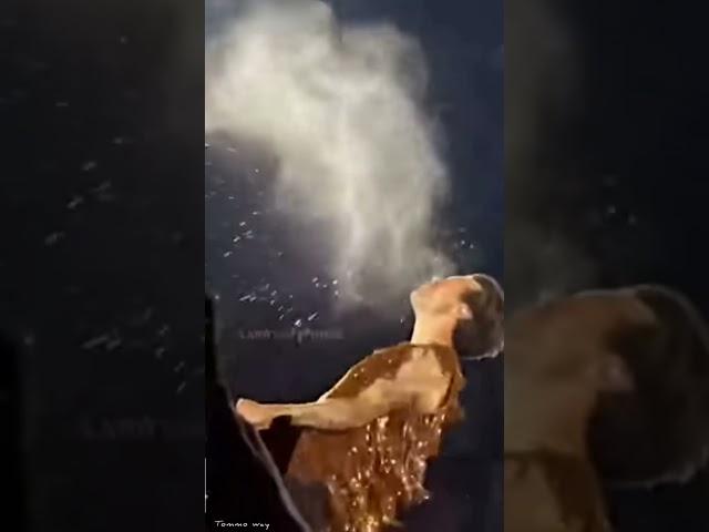 Little hazza doing the whale
