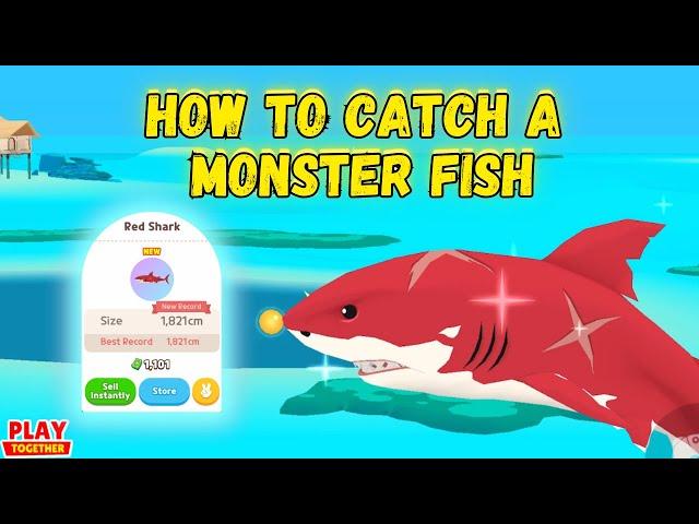 How to Catch a Monster Fish (Red Shark) (Play Together Game)