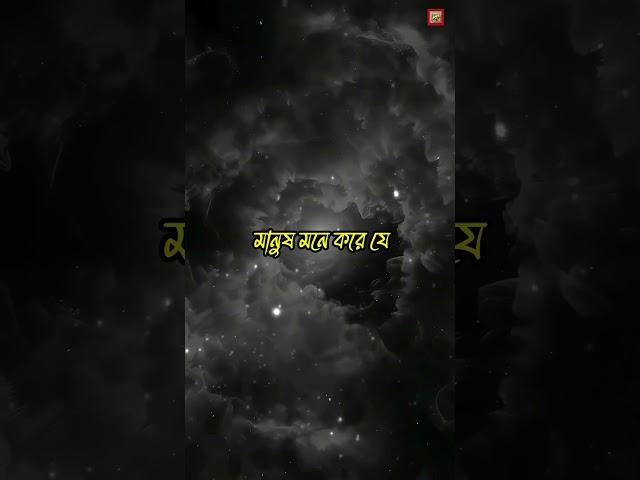 আলী (রাঃ) বলতেন: মানুষ এমনভাবে চলে যায়, যেন ছিলই না! | জীবন নিয়ে ভাবনা | Islamic Reminder #islami