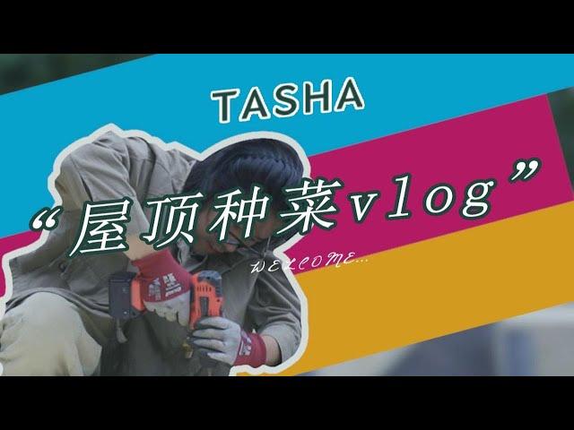 vlog  塔莎先生的屋顶种菜记~