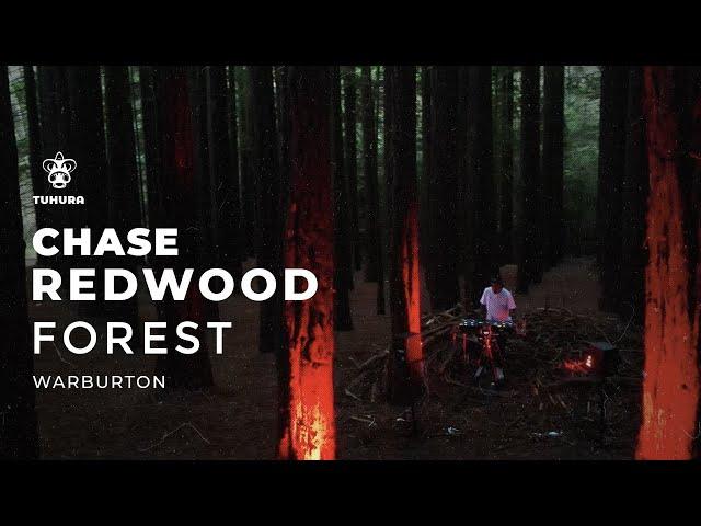 Chase Your Dreams by Chase at Redwood Forest | Tuhura Music