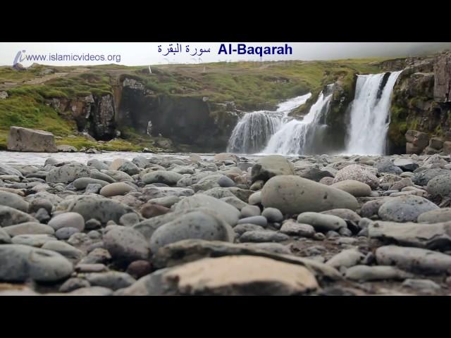 Surah Baqarah Full,  1 of the World's Best Quran Recitation, Fast Quran Tilawat