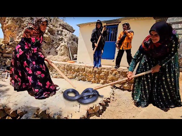 Snake in the house: Fariba and Akram killed the annoying snake