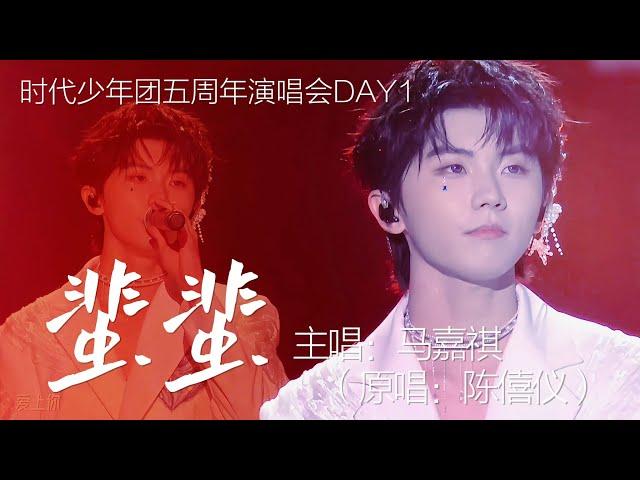 【TNT时代少年团 马嘉祺】2024.11.23 时代少年团五周年演唱会DAY1 |  《蜚蜚》 主唱：马嘉祺（原唱：陈僖仪）【Ma JiaQi】