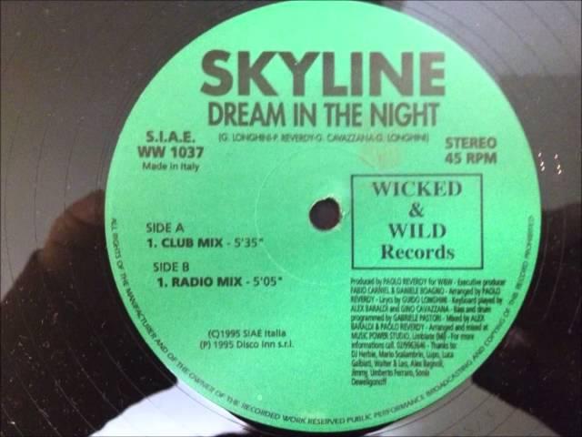 Skyline - Dream In The Night