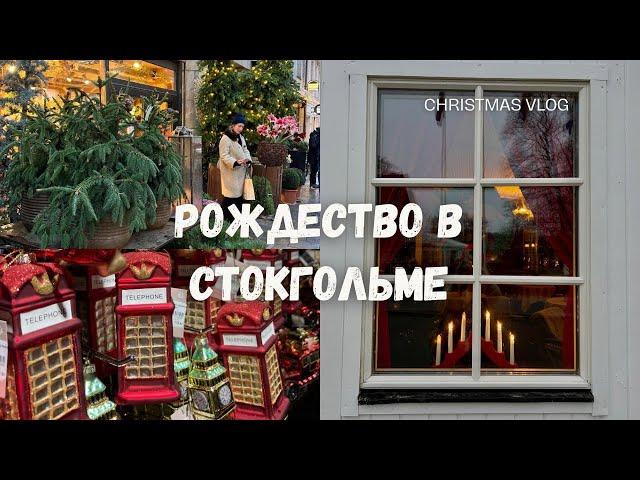 СТОКГОЛЬМ 2023. ШВЕЦИЯ. РОЖДЕСТВЕНСКИЙ ВЛОГ #jul #stockholm #стокгольм #швеция