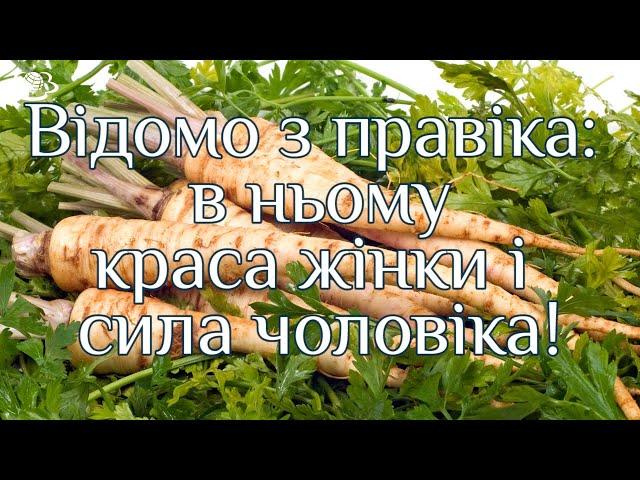 Відомо з правіка: в ньому краса жінки і сила чоловіка!