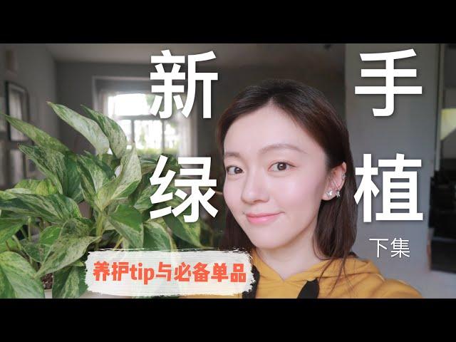 [EP02]室内绿植养护入门指南+必备单品推荐 | Beginner's Houseplant Care Tips And Essential Tools