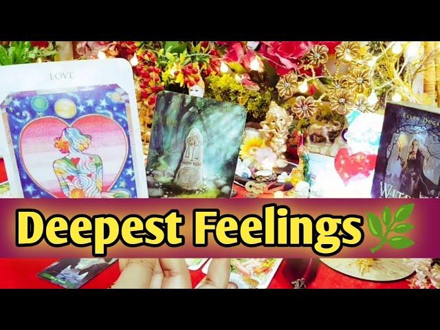 ️Deepest Feelings Next Action With Angel Guidance️ All Signs Collective Timeless Tarot Reading