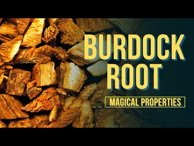 Burdock Root Magical Properties