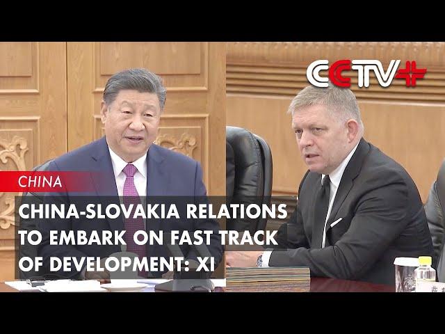 China-Slovakia Relations to Embark on Fast Track of Development: Xi