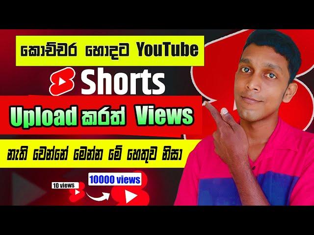 How to Get More Views: YouTube Shorts Algorithm Explained for 2024 (Sinhala)