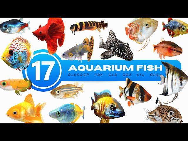 17 Set Aquarium Fish 3D Model