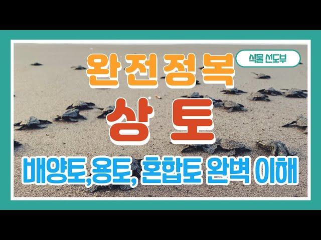 상토 완전정복 - 아무도 얘기하지 않은 상토 이야기. 상토 배양토 용토 배합토 혼합토 이게 다 무슨 뜻이야? 분갈이 흙 완전히 파헤치기