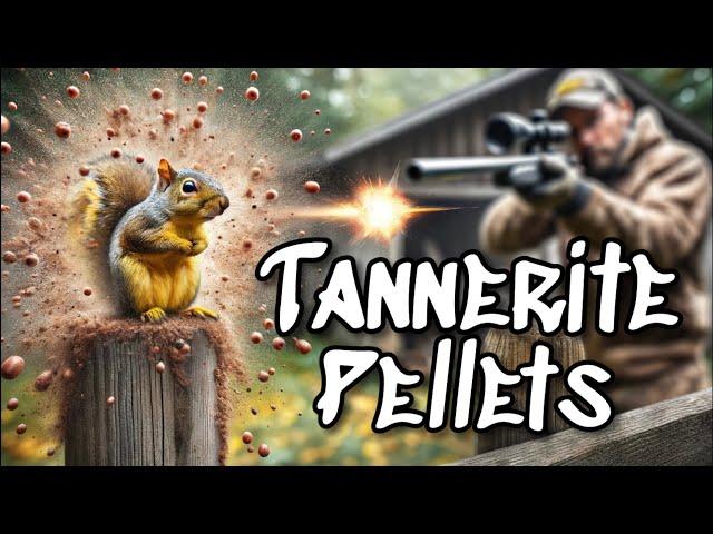 Squirrel Hunting with Tannerite... Explosive Shots You Won't Believe!