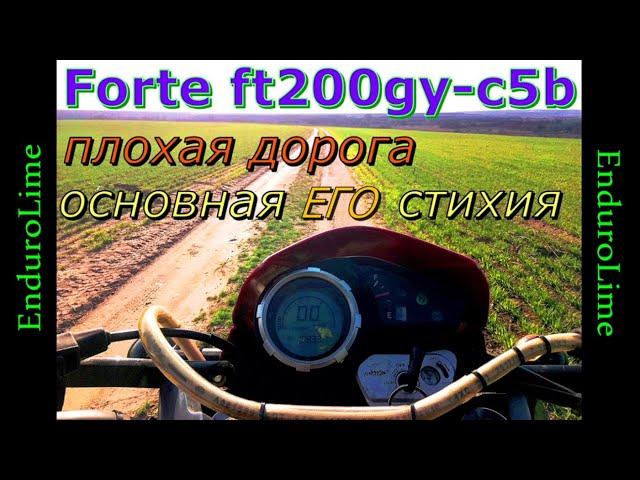 Преимущества Forte ft200gy-c5b. Основная его стихия