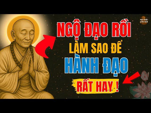 Lục Tổ Huệ Năng - Hướng Dẫn NGỘ ĐẠO Rồi - Nhưng Làm Sao Để HÀNH ĐẠO - Học Phật Giác Ngộ !