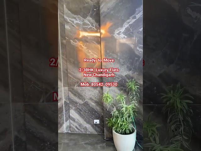 Ready to Move | 2/3BHK Flats | New Chandigarh | Mob. 80542  09530 #omaxethelakenewchandigarh