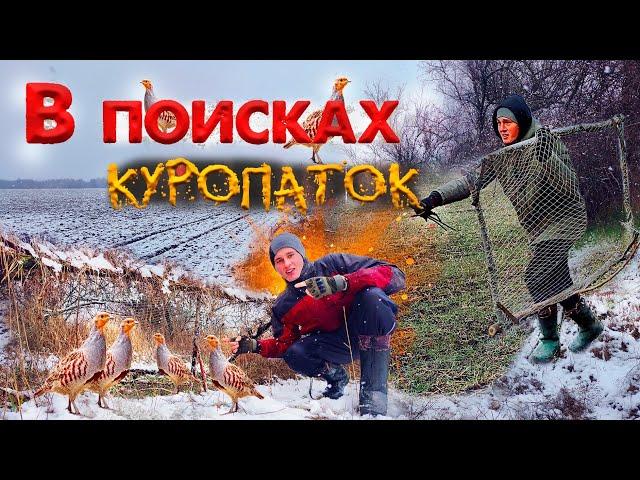 ПОГОНЯ за КУРОПАТКАМИ по СНЕГУ! Перевёз ловушки на новое место.