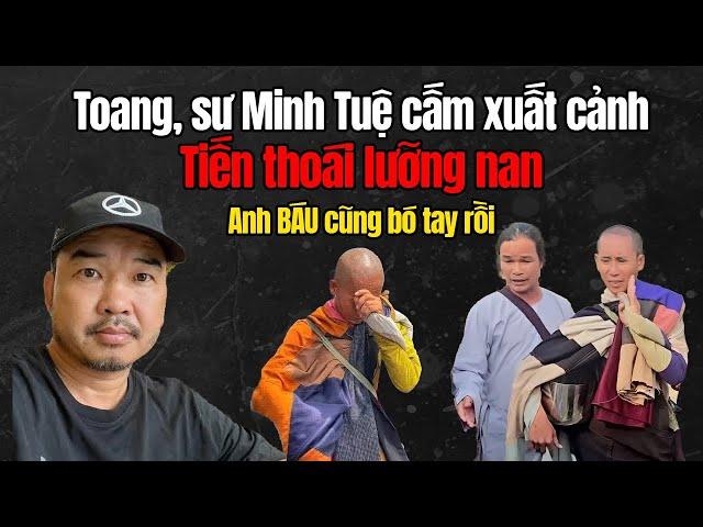 ANH BÁU CŨNG ĐẾN BÓ TAY, Không Thể Cứu Được MINH TUỆ Nữa, Bây Tiến Thoái Lưỡng Nan