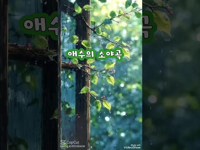 #애수의 소야곡 #이미자 #김영희우리옷tv