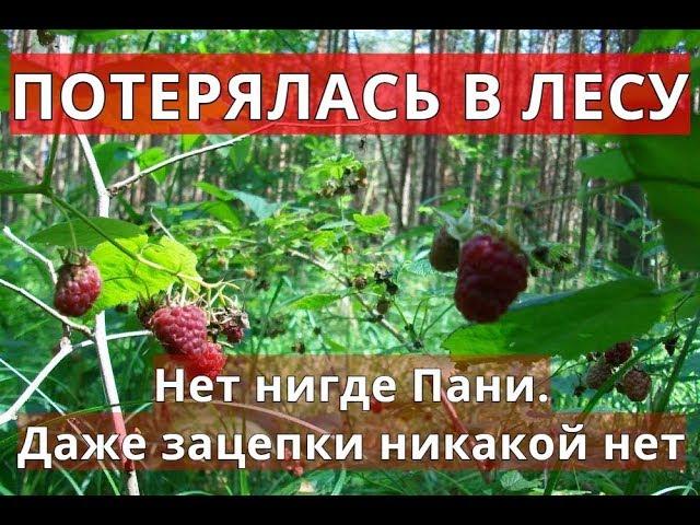 Наталья Удальцова | Малина (драма)