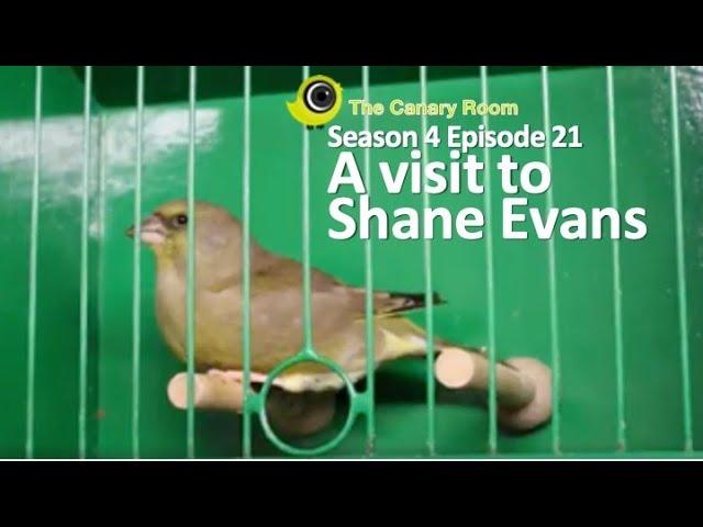 The Canary Room - A Visit to Shane Evans of Direct Bird Products