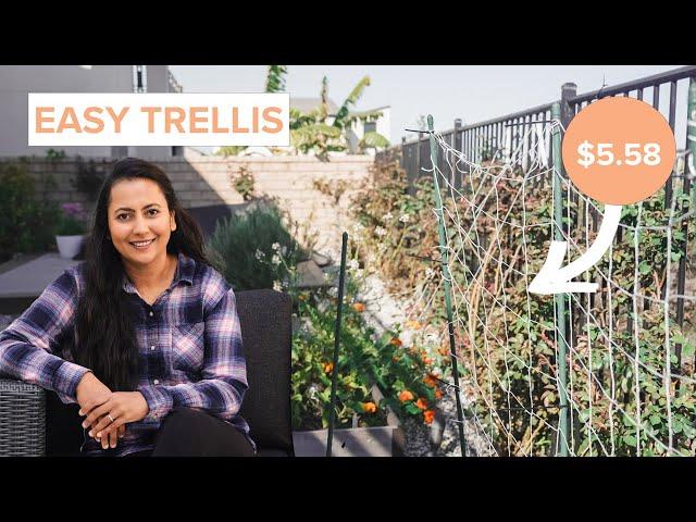 How I Made An Easy And Cheap Trellis In My Small Garden Under 6 Dollars