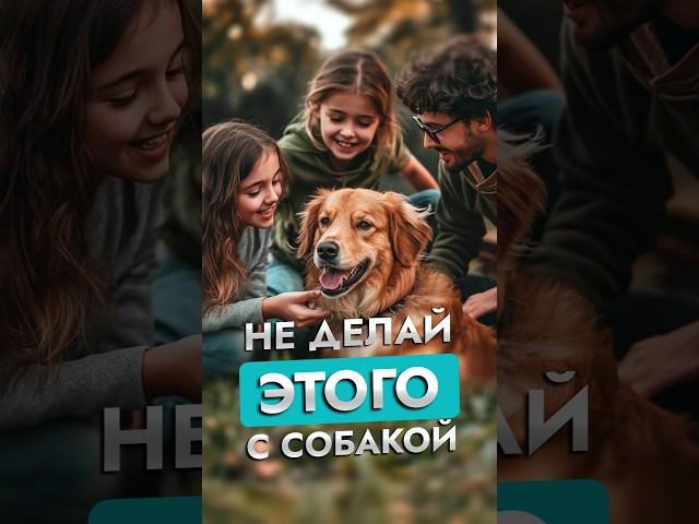7 ОПАСНЫХ ошибок при Общении с Собакой | Советы кинолога | ЛавГав