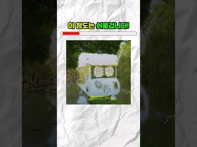 브롤고수만 맞힐수 있는 역대급 착시현상 ㅋㅋㅋㅋ (챌린지)