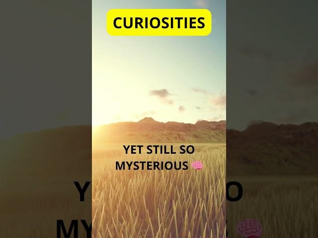 Curiosites