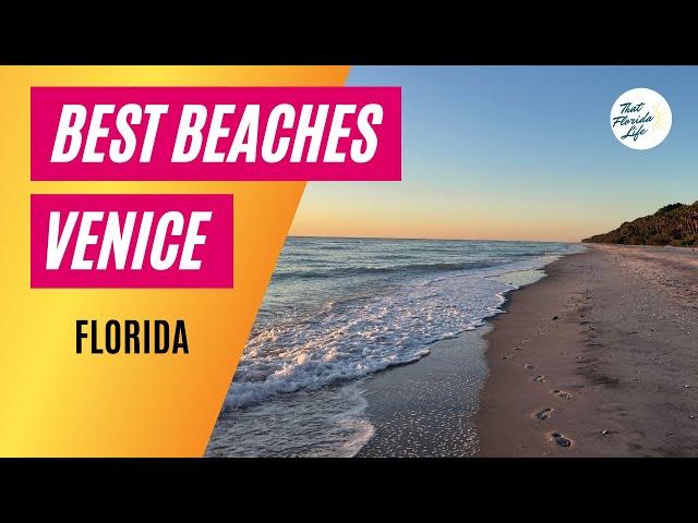 Best Venice Florida Beaches