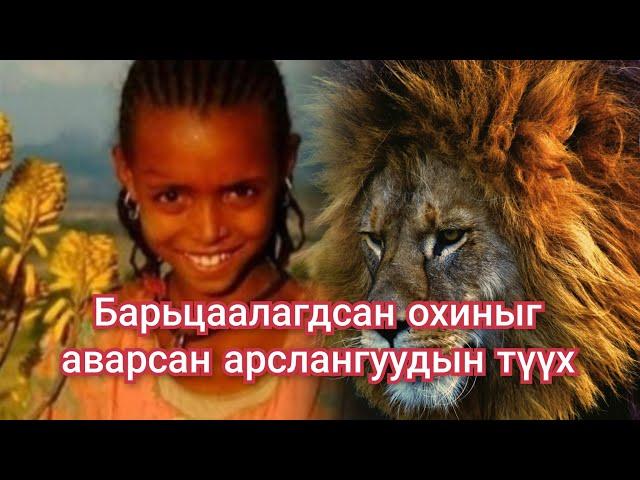 12 настай охиныг аварсан 3 арслангийн түүх Гоё түүхүүд Goe tuuhuud mongol heleer kino tuuh Barimtat