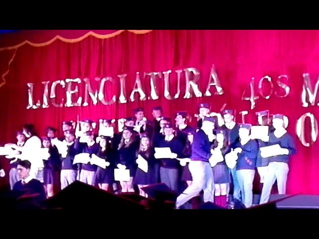 Licenciatura nico 2017