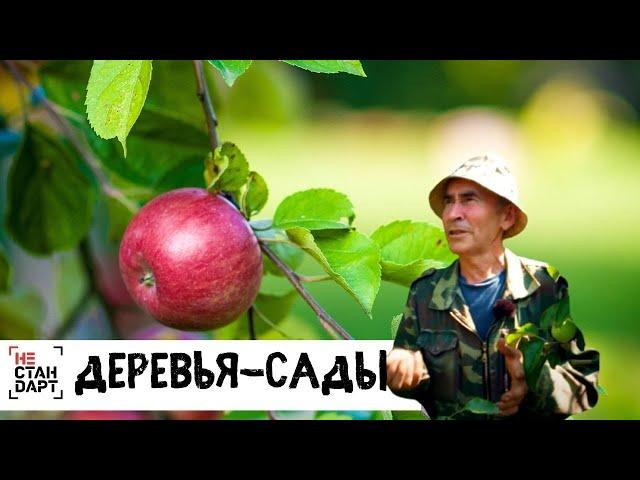 Деревья-сады // Нестандарт / Серия 5