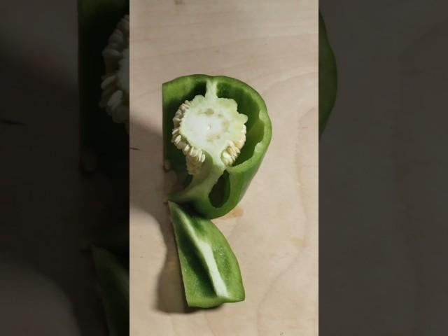 ASMR |Capsicum Cutting #shorts #viralshorts #viralvideo #shortsfeed #cookingwithrimshay