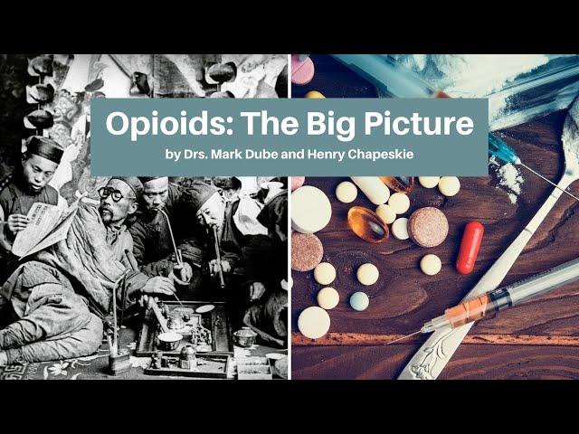 Opioids: The Big Picture