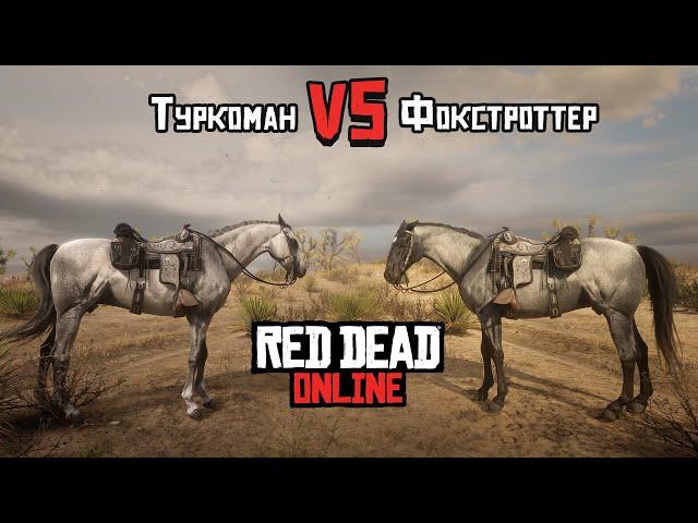 Туркоман или Фокстроттер - ЛУЧШАЯ ЛОШАДЬ в Red Dead Online! Лучший конь в Red Dead Redemption 2