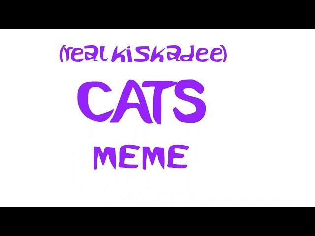 cats meme [real kiskadee] ^ ^