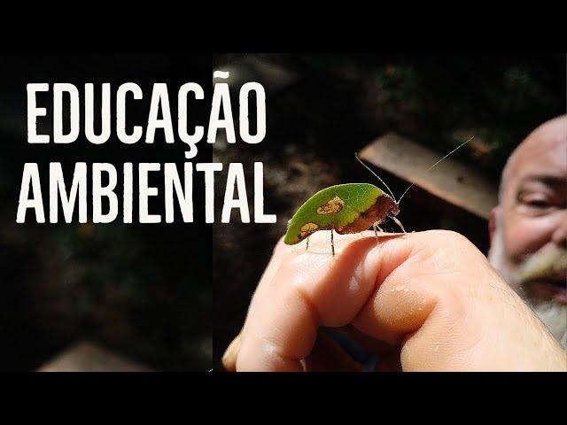 DIA MUNDIAL DA EDUCAÇÃO AMBIENTAL