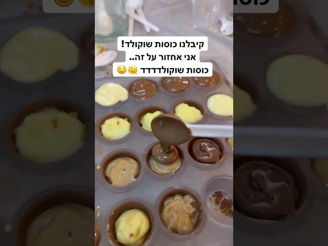 סדנאות - יער הקקאו