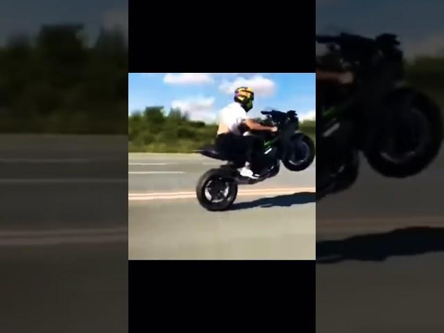 Kawasaki Ninja Insane wheele 