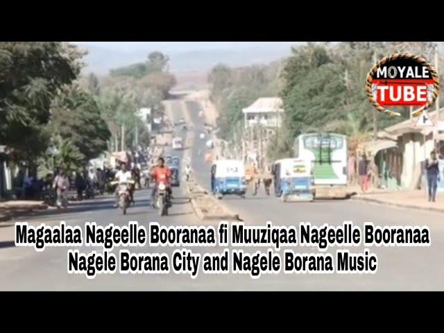 Nagele Borana City & Nagele Borana Music - Magaalaa Nageelle Booranaa fi Muuziqaa Nageelle Booranaa