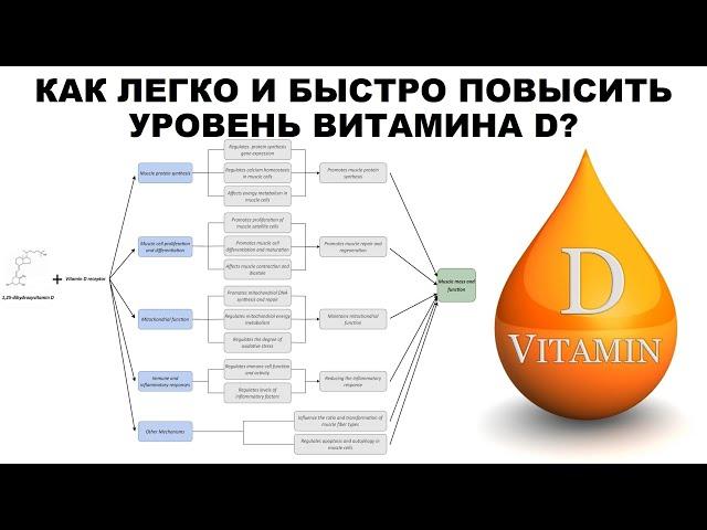 КАК ЛЕГКО И БЫСТРО ПОВЫСИТЬ УРОВЕНЬ ВИТАМИНА D?