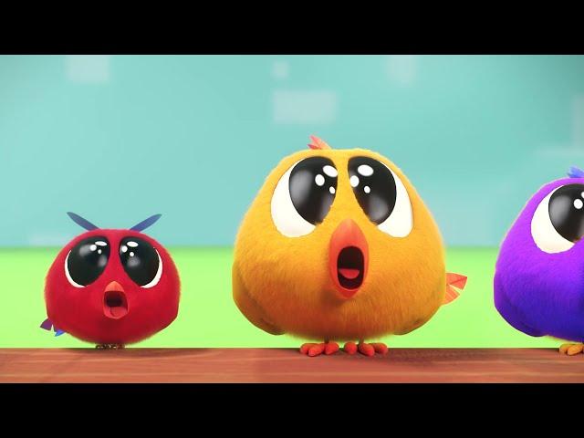 The henhouse | Where's Chicky? | Cartoon Collection in English for Kids | New episodes HD