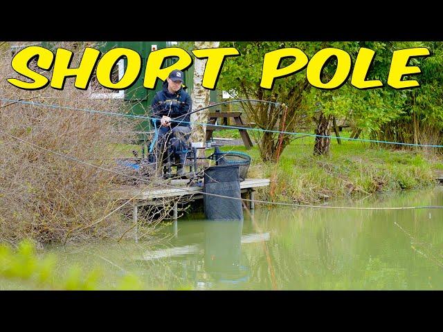 Catch LOADS Of Fish Under Your Feet! | Short Pole Fishing With Pellets