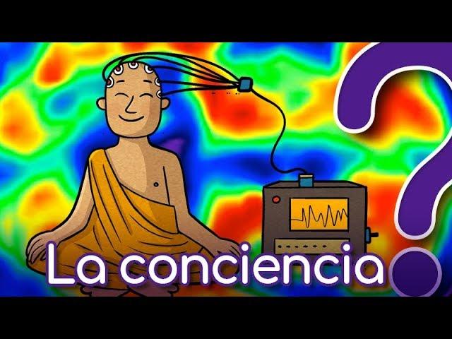 ¿Por qué Existe la CONCIENCIA?