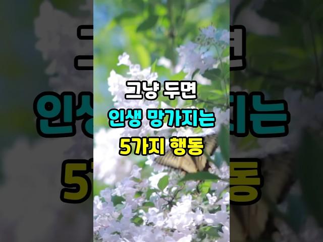 그냥 두면 인생 망가지는 5가지 행동 #노후지혜 #삶의지혜 #인생조언 #명언 #지혜 #좋은글