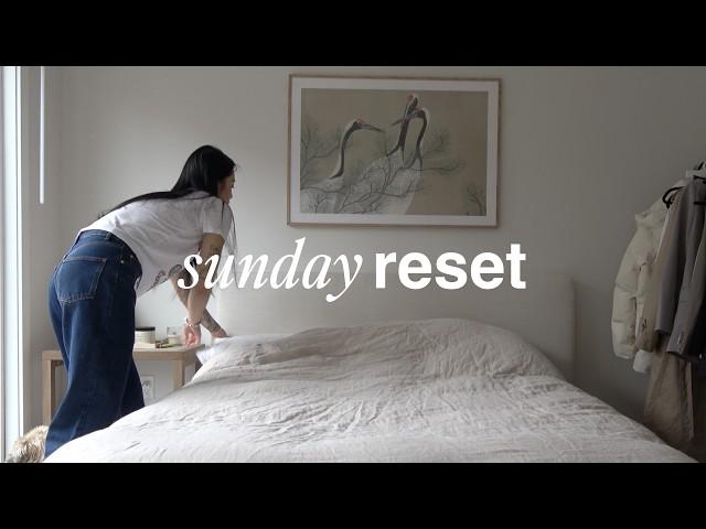 Sunday reset routine (office update, cleaning, purge & selling clothes)