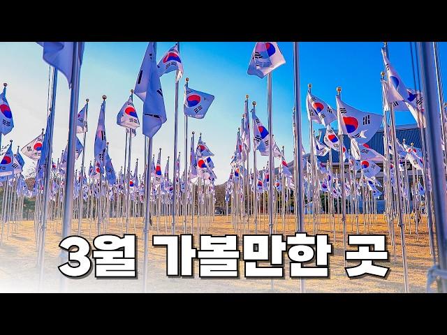 온가족이 즐길 수 있는 3월 여행지 7곳 소개해 드릴게요. 3월에는 의미있는 특별한 여행지에 다녀와 보시면 어떨까요?